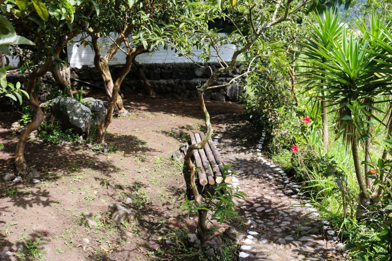באניוס Hosteria El Trapiche Lodge & Spa מראה חיצוני תמונה